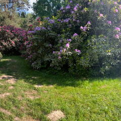 23-06-03 17-24-05 5826